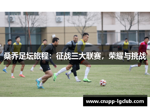 桑乔足坛旅程：征战三大联赛，荣耀与挑战