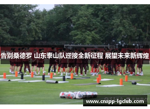 告别桑德罗 山东泰山队迎接全新征程 展望未来新辉煌
