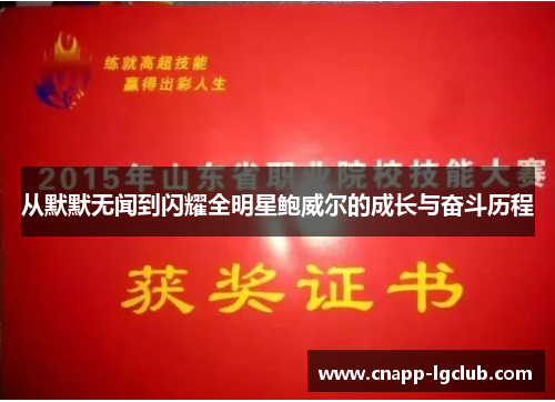 从默默无闻到闪耀全明星鲍威尔的成长与奋斗历程