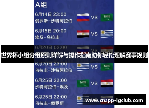 世界杯小组分组原则详解与操作指南助你轻松理解赛事规则