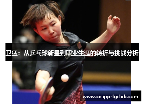 卫猛：从乒乓球新星到职业生涯的转折与挑战分析