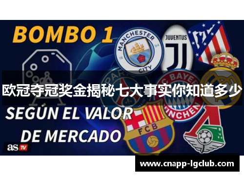 欧冠夺冠奖金揭秘七大事实你知道多少