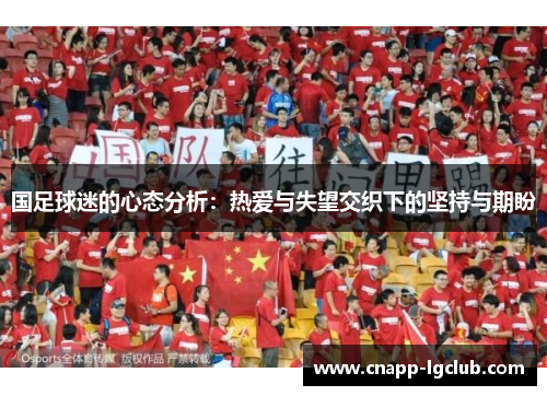 国足球迷的心态分析：热爱与失望交织下的坚持与期盼