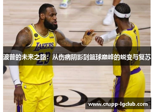 波普的未来之路：从伤病阴影到篮球巅峰的蜕变与复苏