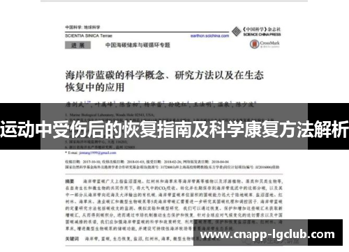 运动中受伤后的恢复指南及科学康复方法解析
