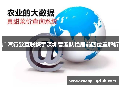 广汽行致互联携手深圳碧波队稳居前四位置解析
