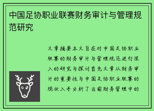 中国足协职业联赛财务审计与管理规范研究